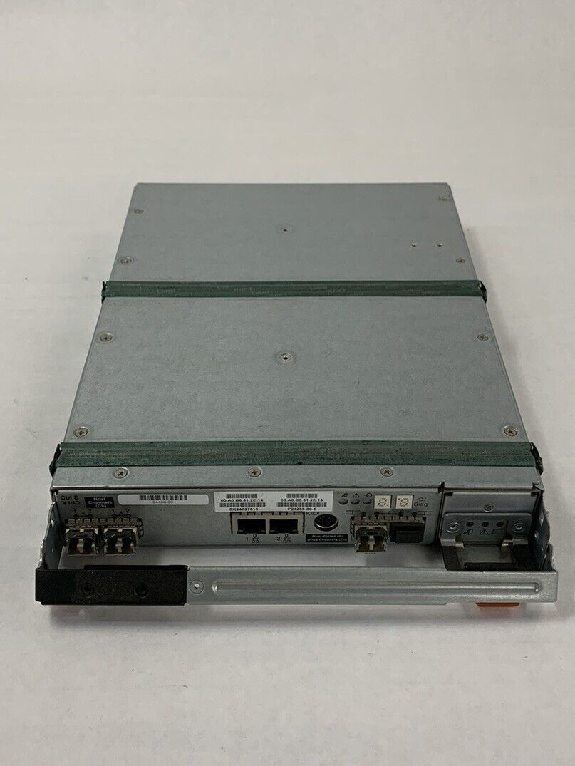 Netapp IBM ISCSI Controller Drive Fiber Module I/F-3 950220-010 34438-00